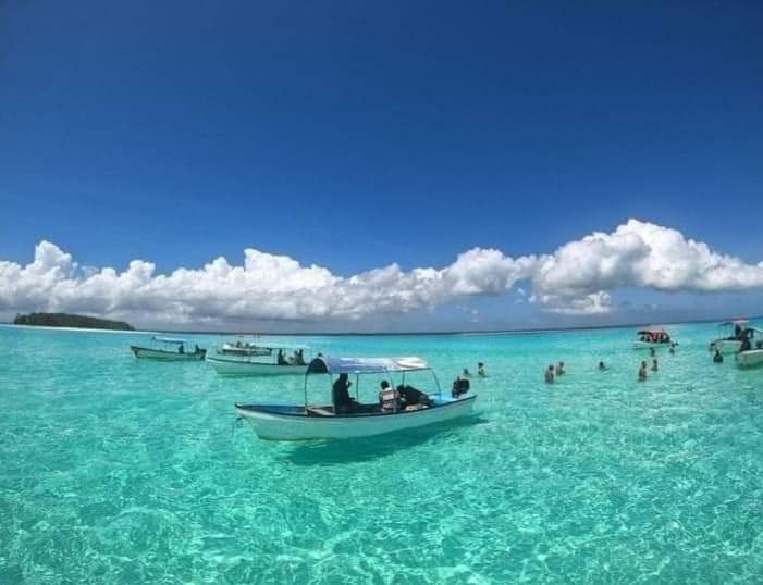 Mnemba Snorkeling